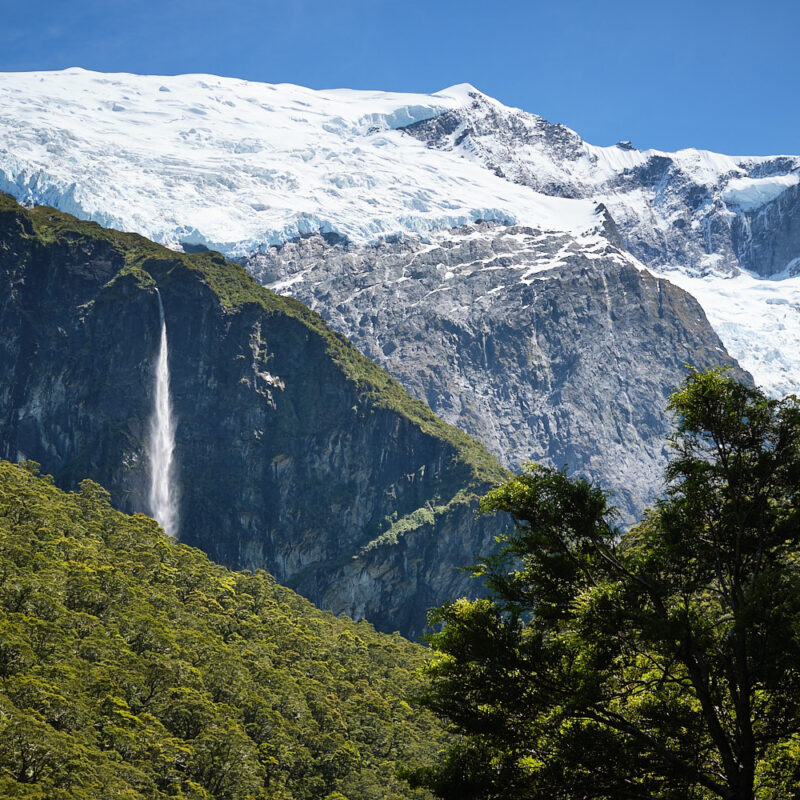 Rob Roy Glacier Track Guided Walk - Wanaka - New Zealand