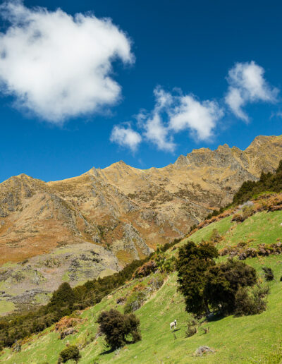 Isthmus Peak Track - Guided Hike - Wanaka - New Zealand