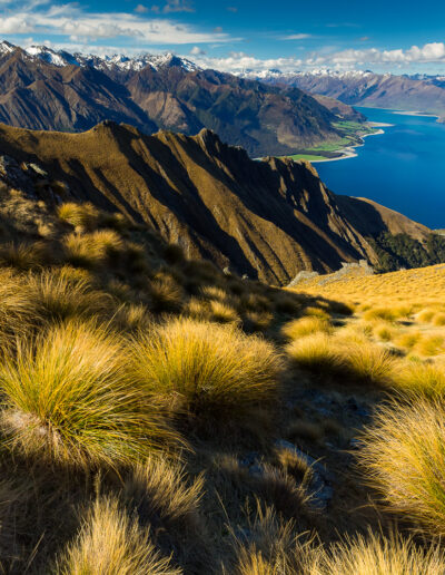 Isthmus Peak Track - Guided Hike - Wanaka - New Zealand