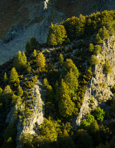 Isthmus Peak Track - Guided Hike - Wanaka - New Zealand