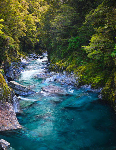 Blue Pools Track - Guided Walk - Wanaka day hikes