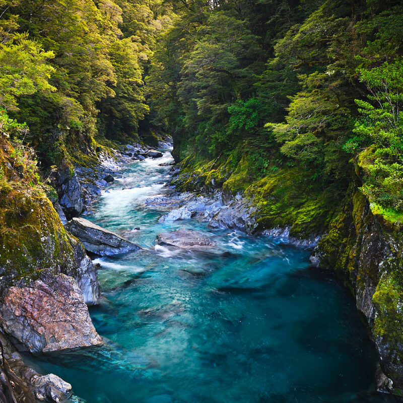 Blue Pools Track - Guided Walk - Wanaka day hikes