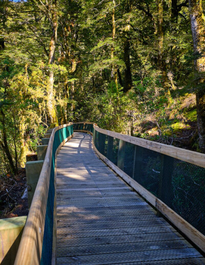 Blue Pools Track - Guided Walk - Wanaka day hikes