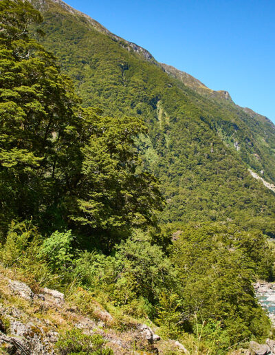 Gillespie Pass Circuit - Guided Multi-Day Hike - New Zealand - Trekking Guide Wanaka